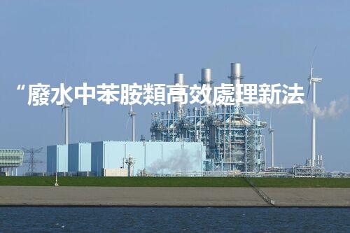 “廢水中苯胺類高效處理新法，環(huán)保先鋒引領(lǐng)綠色以后”